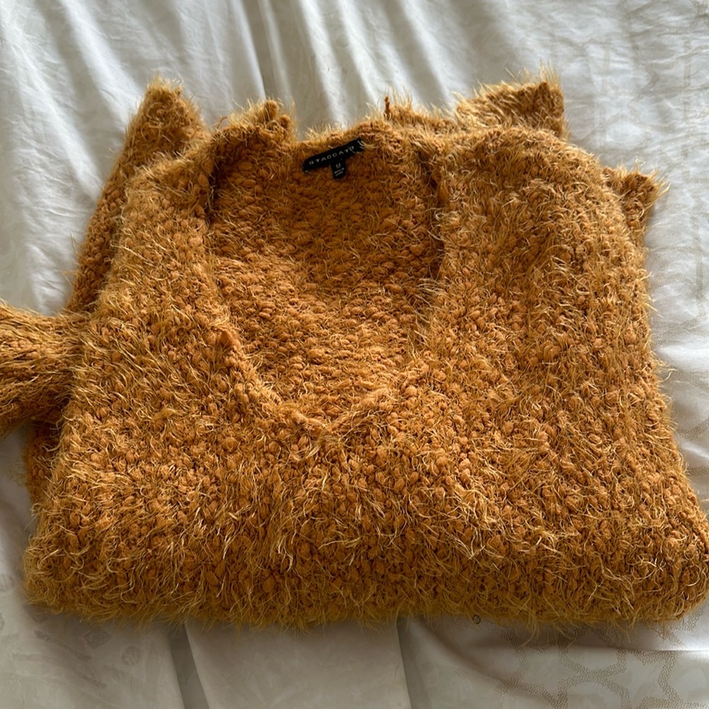 Fall sweater cozy
